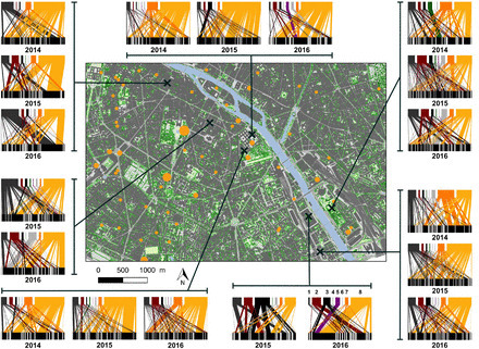Dans la ville de Paris, les taux de fréquentation des pollinisateurs sauvages sont corrélés négativement aux densités de colonies d’abeilles mellifères présentes dans les environs | EntomoNews | Scoop.it