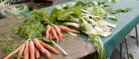 Comment lutter contre le gaspillage alimentaire ? - Portail public de l'alimentation | Bien être,santé, vitalité, environnement | Scoop.it
