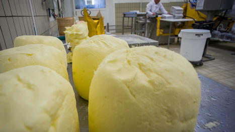 Le prix du beurre chute en Allemagne, un bon signe pour la baisse de l'inflation alimentaire en Europe | Lait de Normandie... et d'ailleurs | Scoop.it