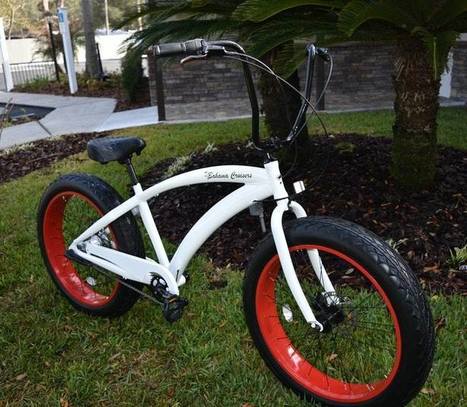 trs congo folding bike