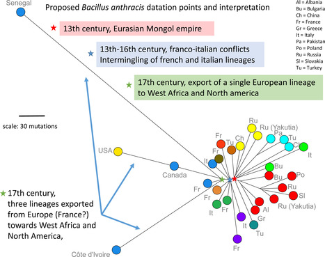 Insights from Bacillus anthracis strains isolated from permafrost in the tundra zone of Russia | Life Sciences Université Paris-Saclay | Scoop.it