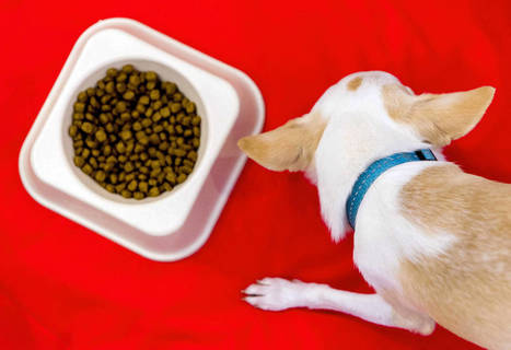 Shemale sarja kuva porno pelit