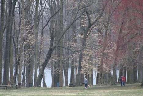 Bucks County Parks To Reopen Monday: Is this a good idea? | Newtown News of Interest | Scoop.it