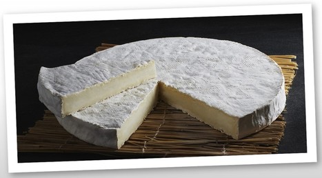 Le Brie de Meaux et le Brie de Melun, les deux fromages AOP de la région parisienne | Lait de Normandie... et d'ailleurs | Scoop.it