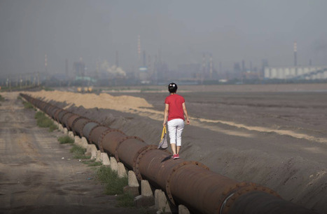 CLIMATE: The rare earths race risks environmental disaster&nbsp; | Revue de presse - Club DEMETER | Scoop.it