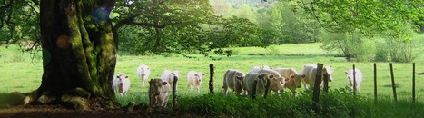 Coordinatrice/teur Tourisme et Activités de Pleine Nature - CDD de 1 an - Communauté de communes des Grands Lacs du Morvan (58) | Recrutement Emploi Environnement et ESS | Scoop.it