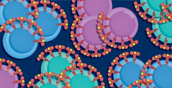 Anti-inflammatory therapy with low-dose IL-2 in acute coronary syndromes: a randomized phase 2 trial&nbsp; | Interventional Cardiology | Scoop.it