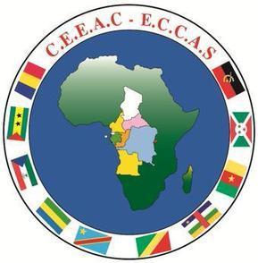 Estimation : 58,9 millions de personnes mal alimentées en 2016 en Afrique centrale (Daniel Ona Ondo du Gabon). | Actualités Afrique | Scoop.it
