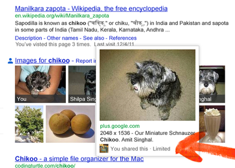 Google Search Gets Personal . . . | Information Technology & Social Media News | Scoop.it