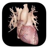 Servier lance l’application mobile Cardiological | UseNum - Santé | Scoop.it