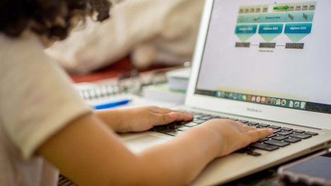 Evaluating Websites as Information Sources | Notebook or My Personal Learning Network | Scoop.it
