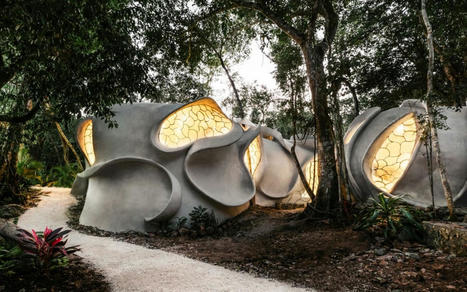 Des bureaux de forme organique dans la jungle Maya - 2Tout2Rien | Architecture Organique | Scoop.it