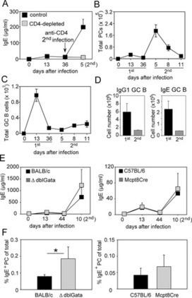 The Extracellular Domains of IgG1 and T Cell-Derived IL-4/IL-13 Are Critical for the Polyclonal Memory IgE Response In Vivo | Allergy (and clinical immunology) | Scoop.it