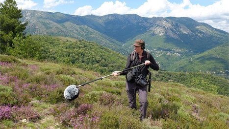 Les Trésors du Parc national des Cévennes : quand la nature murmure à l'oreille de Marc Namblard | Biodiversité | Scoop.it