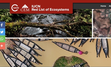 Ecosystem services: Understanding riverine ecosystems and their contribution to human well-being | IUCN Red List of Ecosystems | Stage 5 Environmental Change: Riverine Environments | Scoop.it