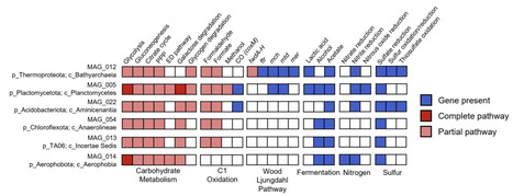 Tracking active heterotrophic microbial communities in the Guaymas Basin deep biosphere with BONCAT-FACS | isme | RMH | Scoop.it