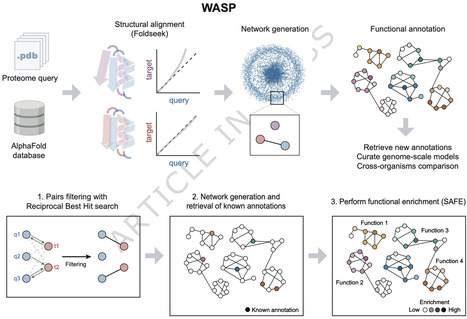 WASP: a pipeline for functional annotation prediction based on AlphaFold structural models | Ncm | RMH | Scoop.it