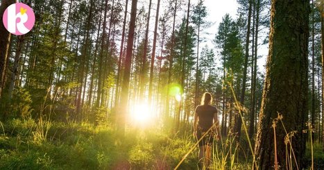 Hyvää happea! 8 kiistatonta syytä rakastaa suomalaista metsää | 1Uutiset - Lukemisen tähden | Scoop.it