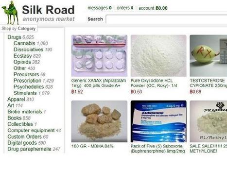 From Silk Road to total anarchy on the dark web | Peer2Politics | Scoop.it