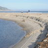 Sandy Beach Ecology & Management