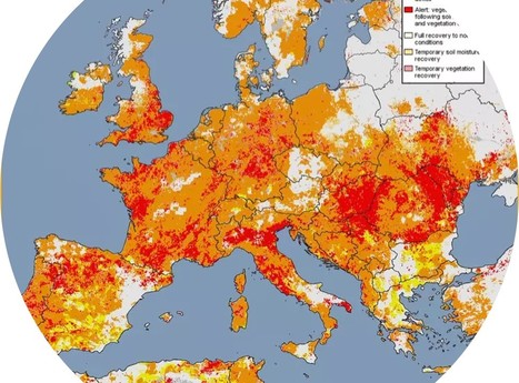 L’Europe s’oriente vers sa pire sécheresse depuis 500 ans | Lait de Normandie... et d'ailleurs | Scoop.it