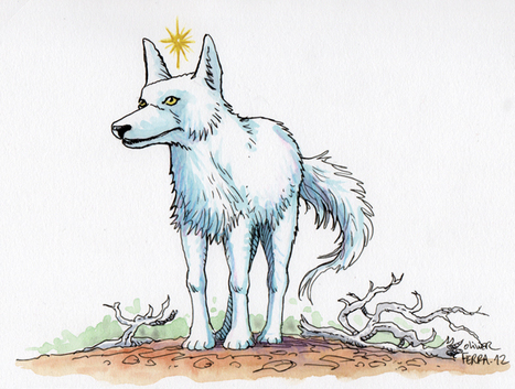 Mon Loup - DOLMA | Loup | Scoop.it