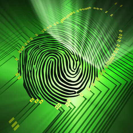 Fingerprints tell all: Progress in fingerprint analysis | Science News | Scoop.it