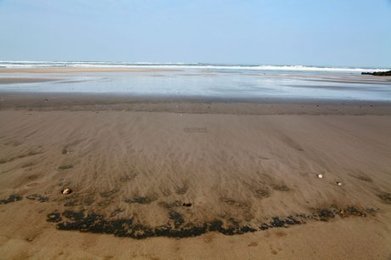 Eaux sombres à Lacanau : c’était donc du plancton | Pollution accidentelle des eaux (+ déchets plastiques) | Scoop.it