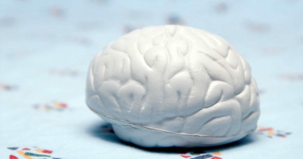 Brain Aneurysm: Causes, Symptoms, Risk Factors, and Treatment Options | Neurovascular Intervention | Scoop.it