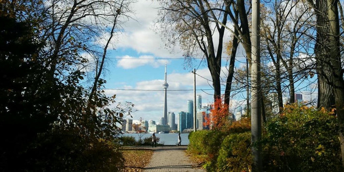 Toronto Named A 'Tree City of the World' (Yes, Really) | Real Estate Report | Scoop.it