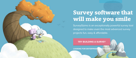 SurveyGizmo | Professional Online Survey Software & Form Builder | TechTalk | Scoop.it