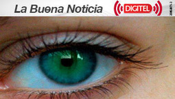 Científicos argentinos logran avance clave para terapia celular en retina | Salud Visual 2.0 | Scoop.it