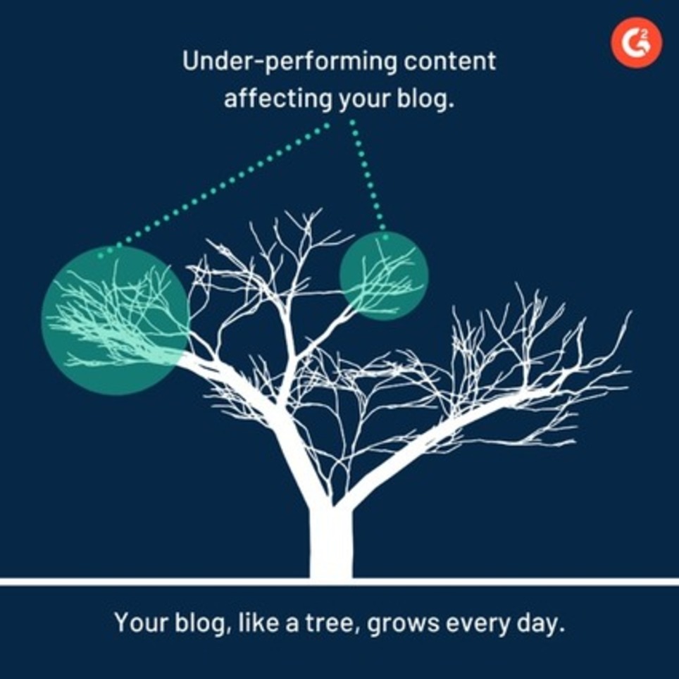 The Complete Guide to Content Pruning (+3 Step Pruning Process) | Marketing de contenidos, artículos seleccionados por Eva Sanagustin | Scoop.it