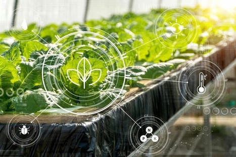 AG-TECH : How leveraging technology can help African farmers weather climate change | INNOVATIONS | Scoop.it
