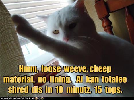 Hmm,  loose  weeve, - Lolcats 'n' Funny Pictures of Cats - I Can Has Cheezburger? | Lolcats | Scoop.it