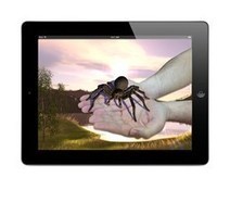 NHS England Gives Seal Of Approval To Spider Phobia App | Simulation in Health Sciences Education | Scoop.it