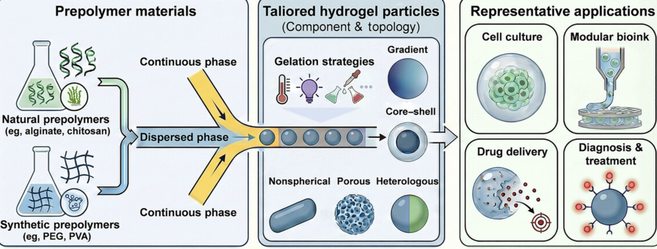 Droplet microfluidics: Enabling the tailored fa...