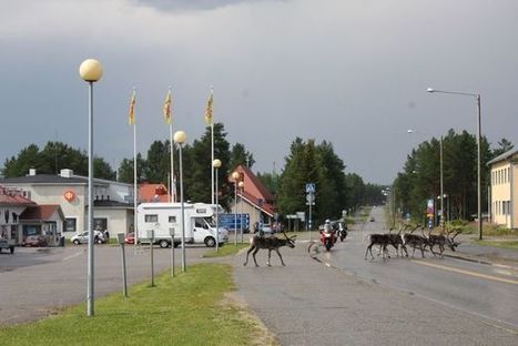 Lukiovertailun kummajainen on pikkuruinen Savukoski - kaksi poikaa nosti pohjamudissa rypevän kunnan lukion huippujen joukkoon | 1Uutiset - Lukemisen tähden | Scoop.it