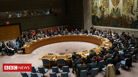 N Korea: UN draft report claims Singapore firms illegally sent luxury goods | International Economics: IB Economics | Scoop.it