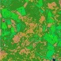 Improving Crop Yield Forecasting in Uruguay using Landsat Imagery | Télédétection veille IST INRAE & AgroParisTech | Scoop.it