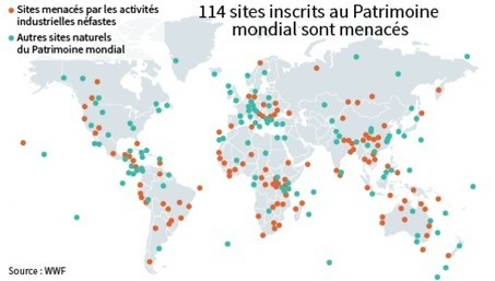 La moitié des sites du patrimoine mondial sont menacés par des activités industrielles | EntomoNews | Scoop.it