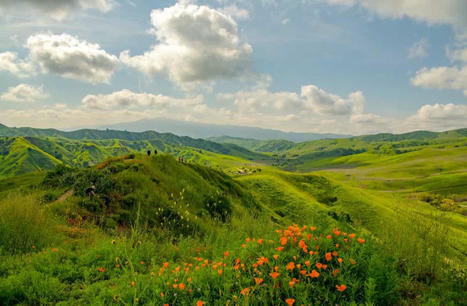 Regardez la Californie devenue complètement verte en quelques mois | Biodiversité - @ZEHUB on Twitter | Scoop.it