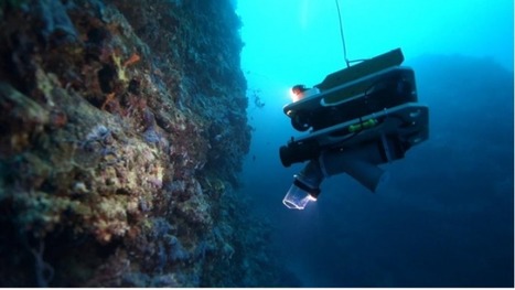 Flipper, "le robot-aspirateur" de coquillages montpelliérain testé à Mayotte | Biodiversité | Scoop.it