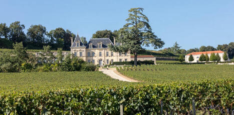 VIN : L’œnotourisme : pour les vignerons, entre évidence et obligation économique | ALIMENTATIONS | Scoop.it