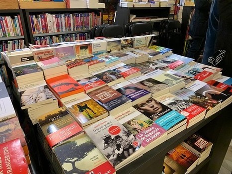 Librairies et bibliothèques, principaux bénéficiaires du Plan de relance | L'actualité des médiathèques | Scoop.it