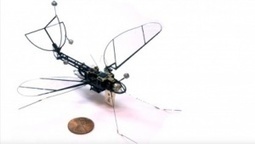 Robotik: Harvard-Forscher entwickeln Roboschmetterling | #Robotics #video | 21st Century Innovative Technologies and Developments as also discoveries, curiosity ( insolite)... | Scoop.it