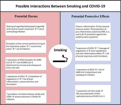 Is there a smoker&rsquo;s paradox in COVID-19? | The future of e-cigarette | Scoop.it