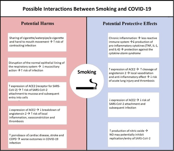 Is there a smoker&rsquo;s paradox in COVID-19? | Covid-19, SARS-Cov-2, vaccines, Remdesivir, Chloroquine...and all that Jazz | Scoop.it
