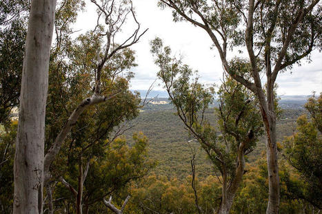 Local seasons: exploring First Nations weather knowledge | Aboriginal and Torres Strait Islander histories and culture | Scoop.it