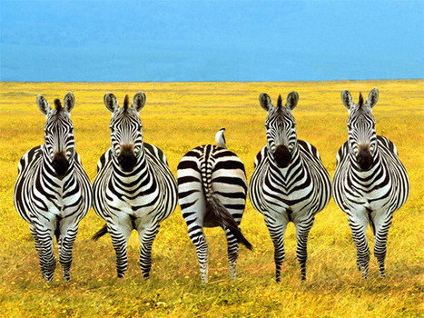 Leadership: 9 things successful people do differently | 21st Century Learning and Teaching | Scoop.it